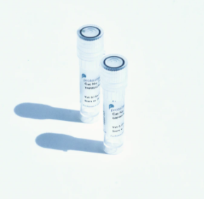 *生物化学制品*试剂 抗体TMEM173/STING Polyclonal antibody