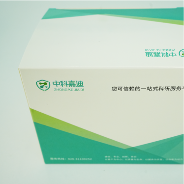 HCC1806人乳腺鳞状癌细胞